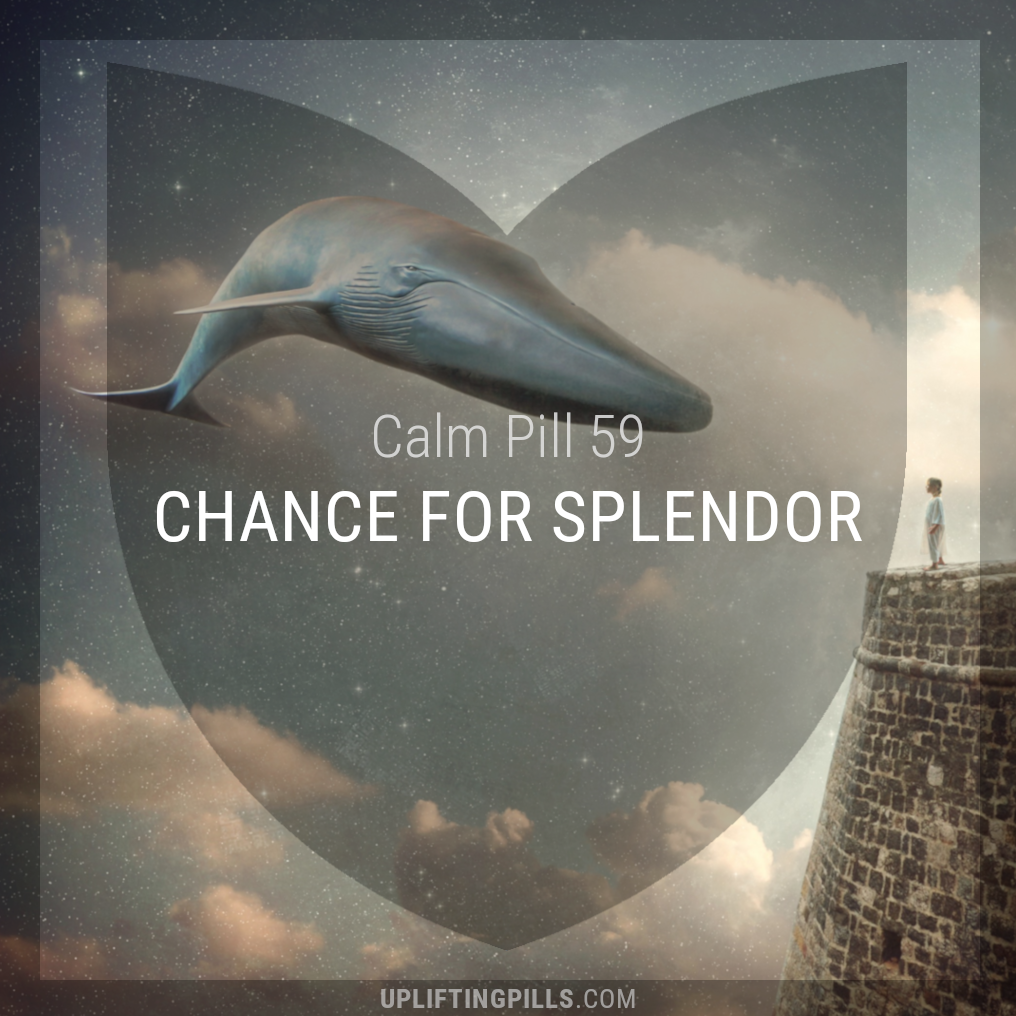 Chance for Splendor